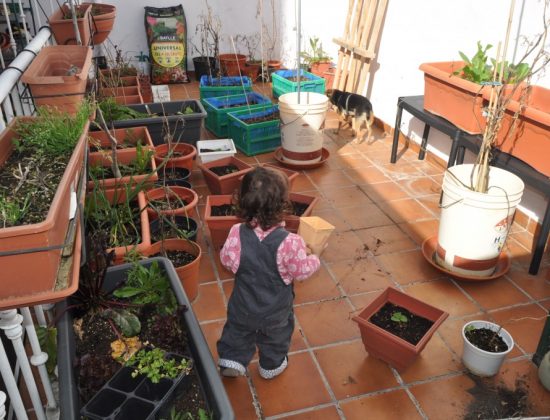 Maceto Huerto Kids