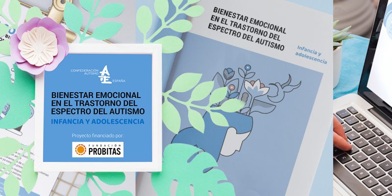 Confederación Autismo España