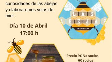 Taller de Velas de Miel 100% Natural