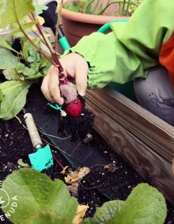 C.E.I. Bilingüe Gente Menuda