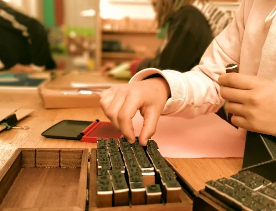 Apita Escuela Activa