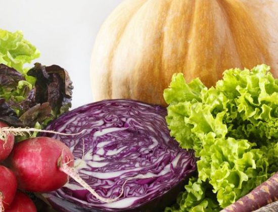 nutrisana educación