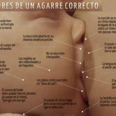 ¿Cómo saber si el agarre de mi bebé es correcto?