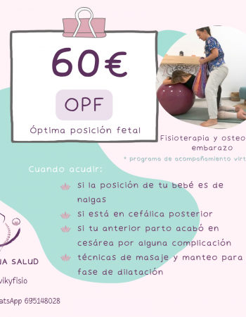 Victoria Portillo Fisioterapeuta Materno Infantil