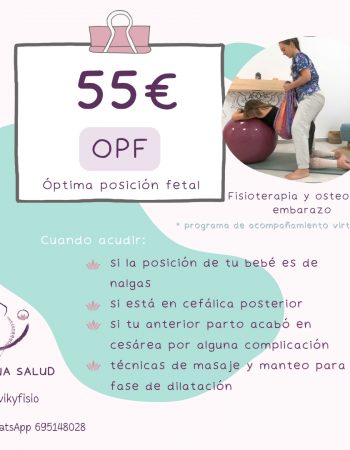 Victoria Portillo Fisioterapeuta Materno Infantil